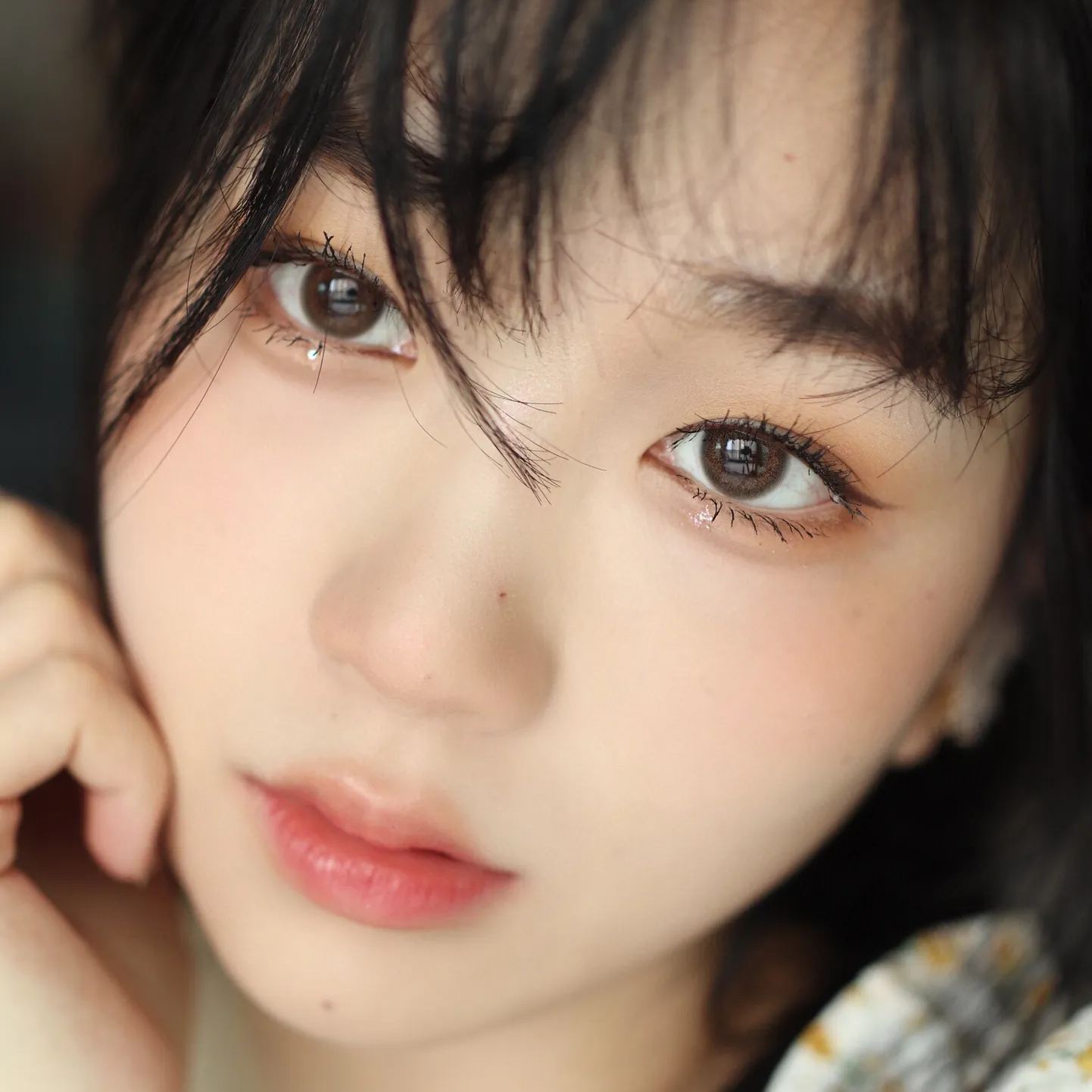 Medios&Meidis联名 | 韩产月抛 | 非离子 | 精致细边 ∣ 气质有神 | 14.0mm-AllenCon Since2017@UK