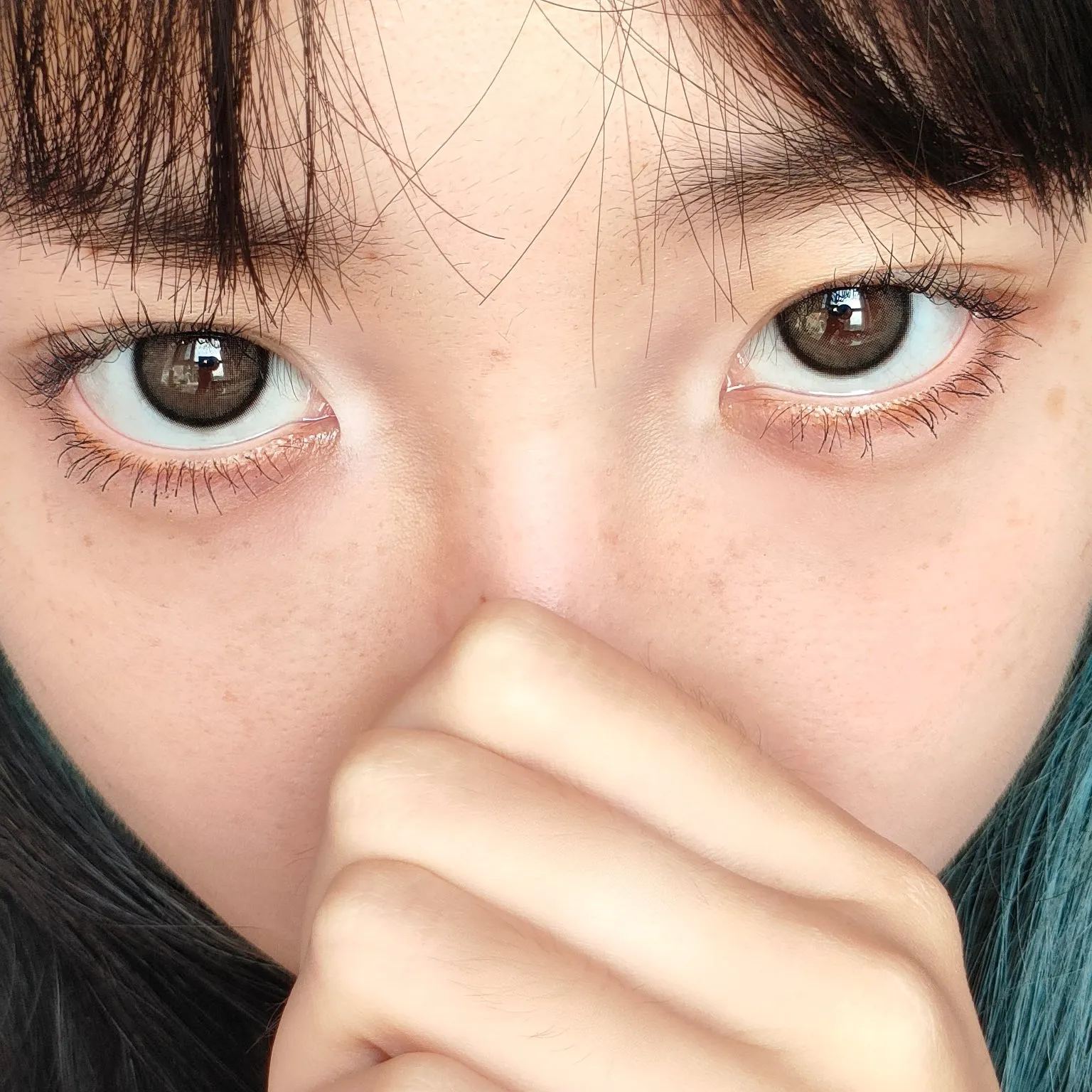 UtooCon | 国产月抛 | 非离子 | 洋气显白 | 自然系黑糖 | 黑糖小丸子 | 14.5mm-allencon