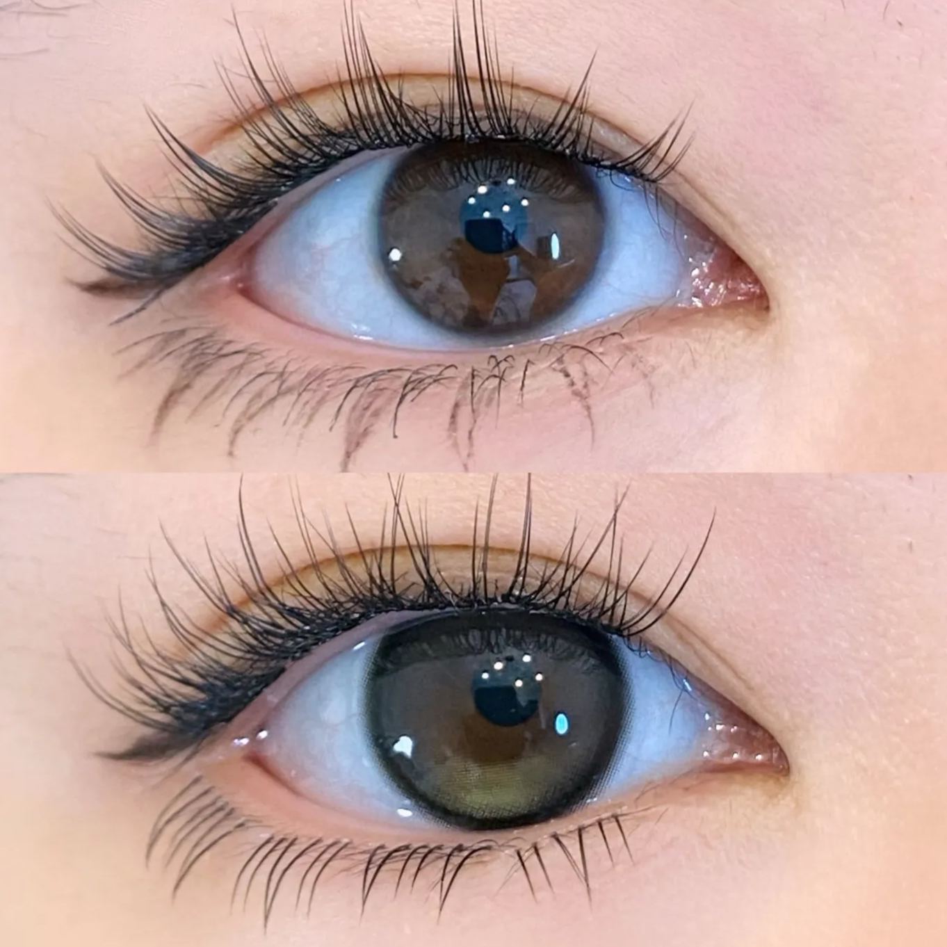 UtooCon | 国产月抛 | 非离子 | 灵动碎闪绿意盎然 | 小青心 | 14.2mm-allencon