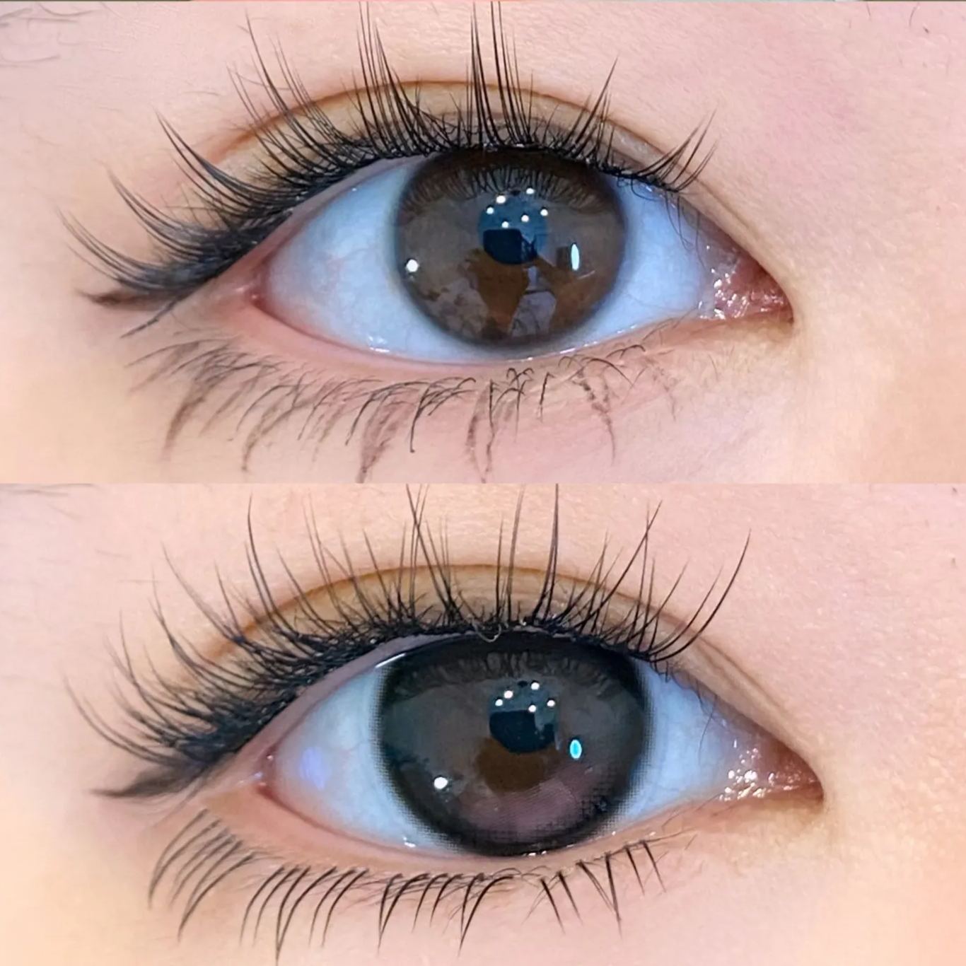 UtooCon | 国产月抛 | 非离子 | 温柔女主| 小腮红 | 14.2mm-allencon