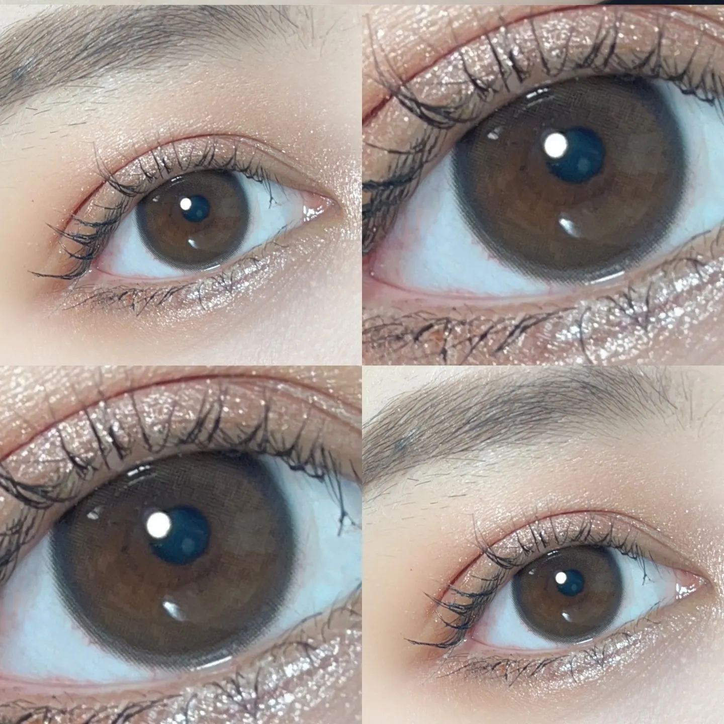 UtooCon | 国产月抛 | 非离子 | 白开水色咖啡棕 | 咖啡棕 | 14.0mm-allencon