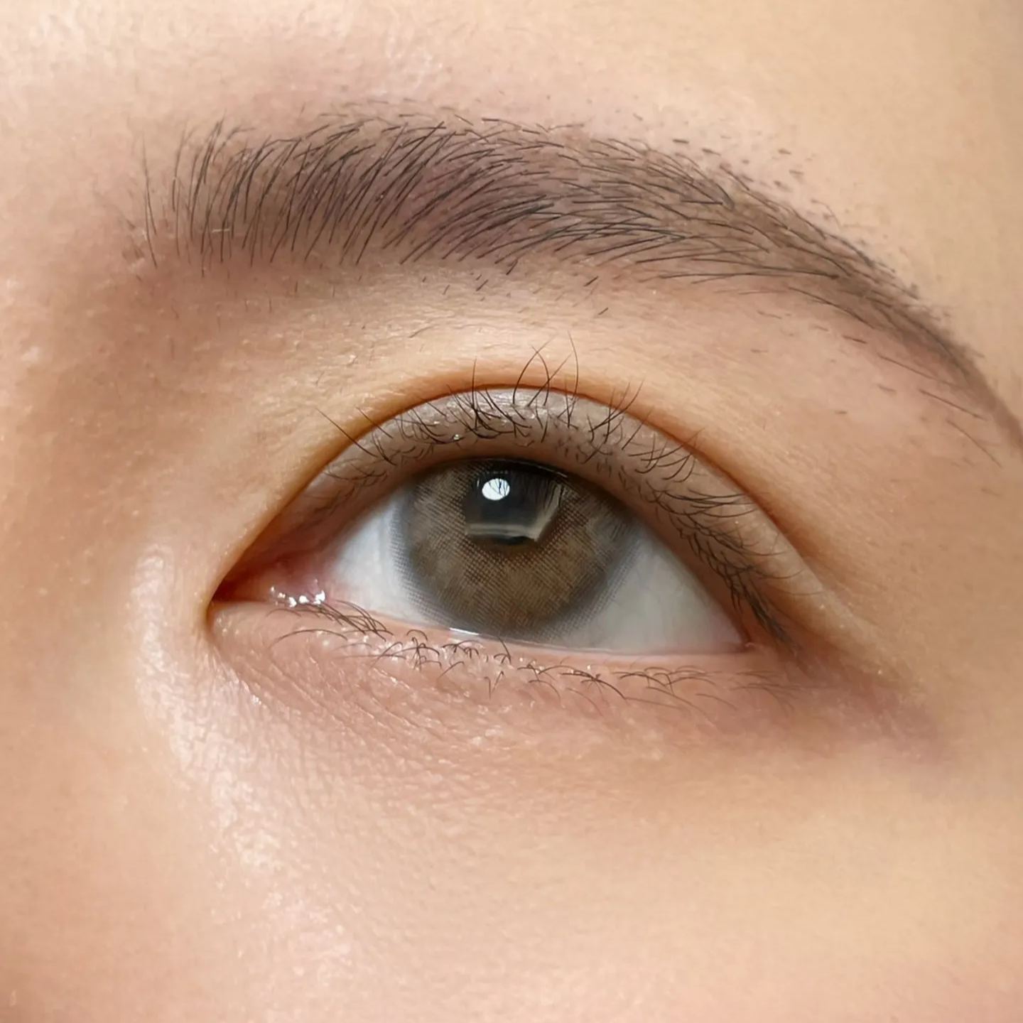 UtooCon | 国产月抛 | 非离子 | 无锁边自然透光款 | 幻夜灰 | 14.0mm-allencon