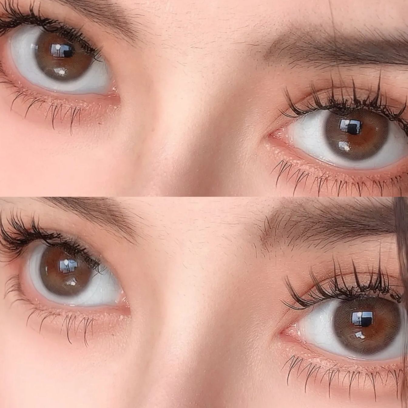 Artmiss | 韩产年抛 | 非离子 | 网红爆款系列 | 仿生瞳灰 | 椰汁奶油 | 14.0mm-allencon