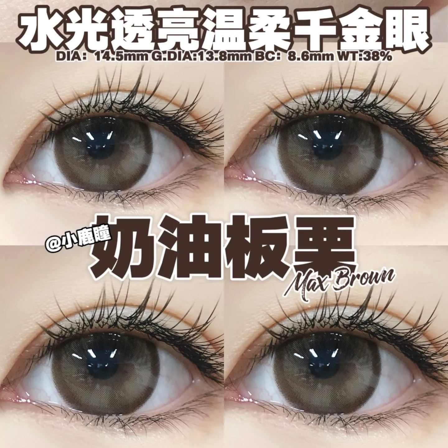 Aromi | 韩产年抛 | 水凝胶 | 温柔少女系列 | 高清柔光棕 | 奶油板栗 | 14.5mm-allencon