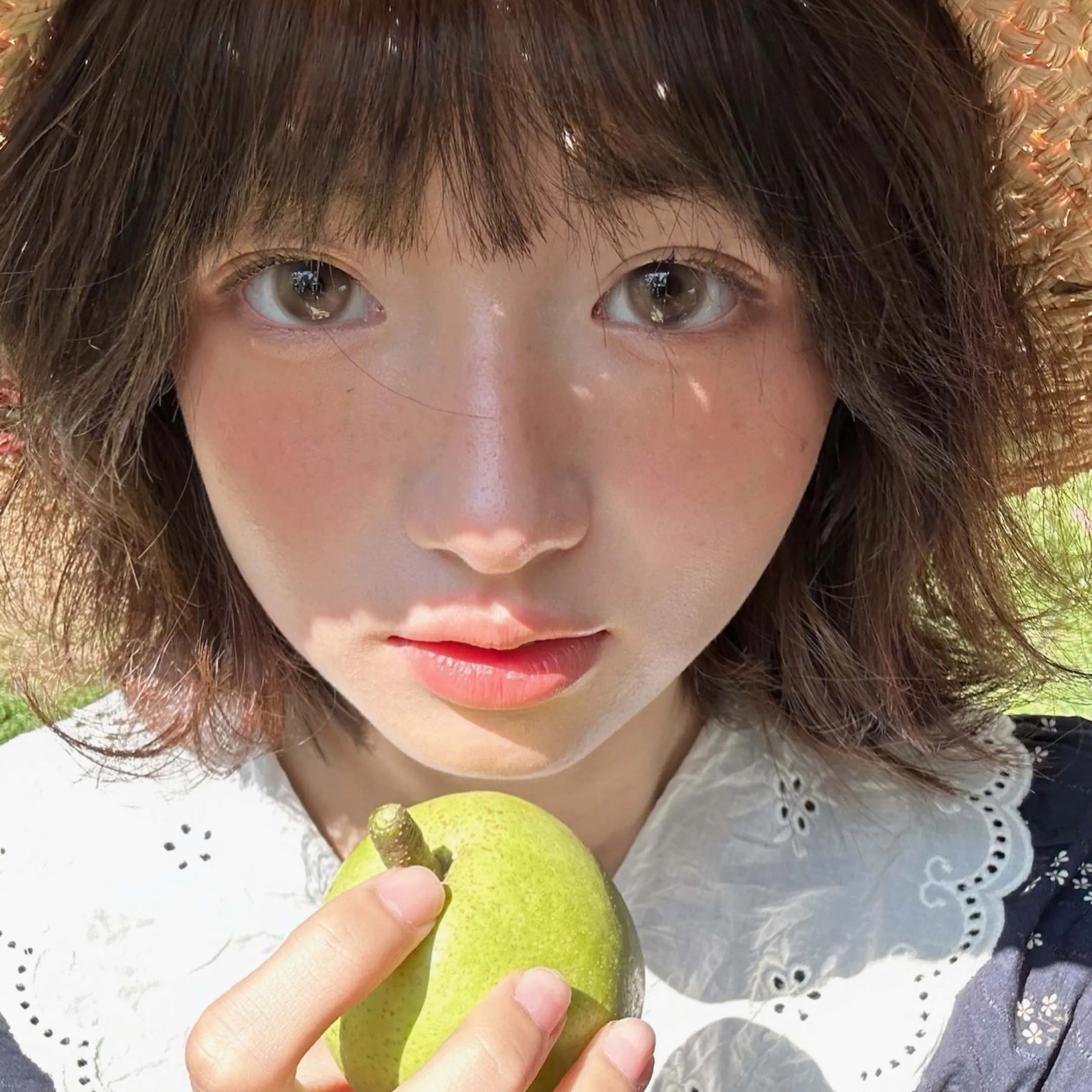 Bollycon | 韩产日抛 | 水凝胶 | 爆款系列 | 淡颜浅棕 | 橘星高照 | 甜御太妃 | 14.5mm | 10片装-allencon