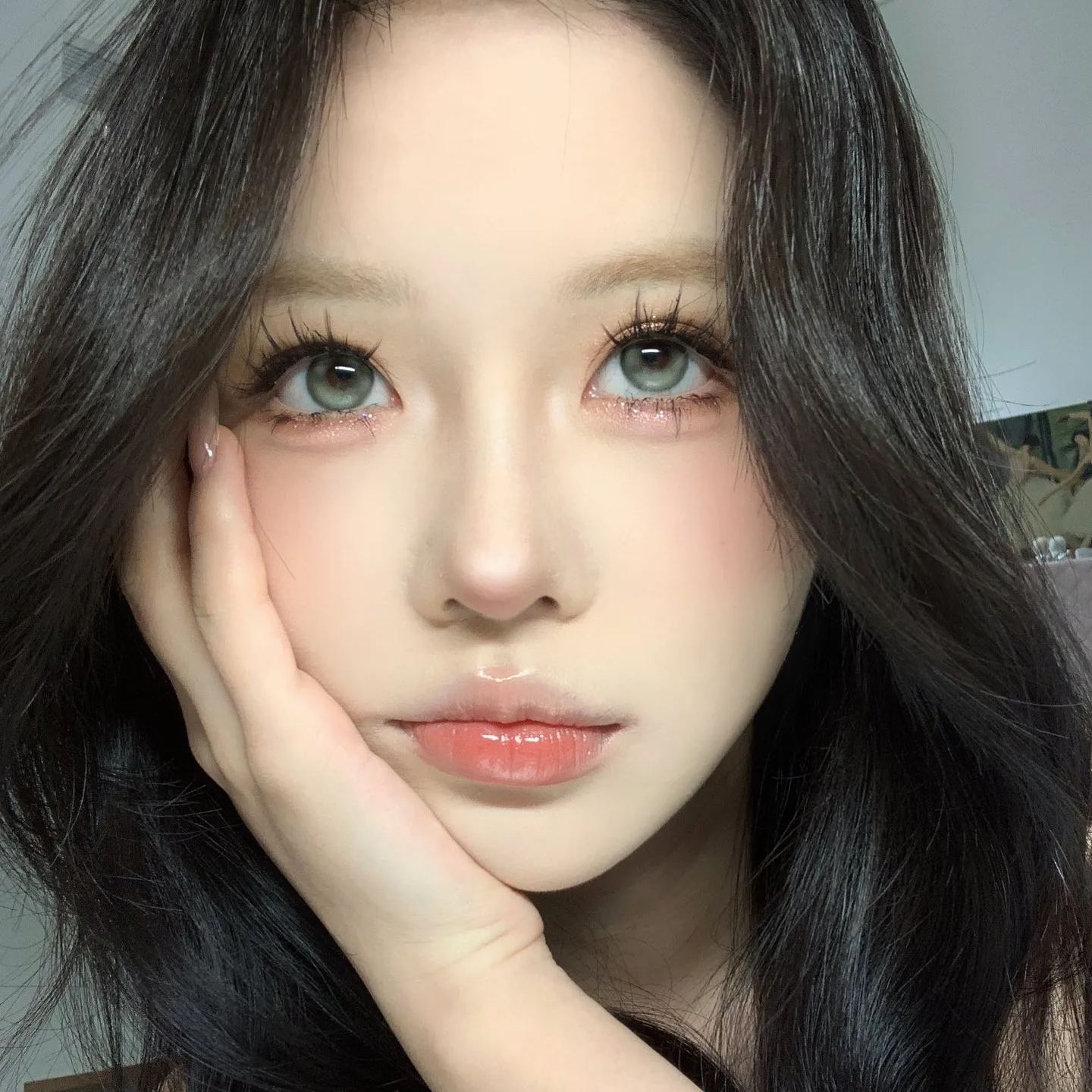 Bollycon | 韩产日抛 | 水凝胶 | 爆款系列 | 青涩威廉 | 小幽灵 | 莱琳青灰 | 14.5mm | 10片装-allencon