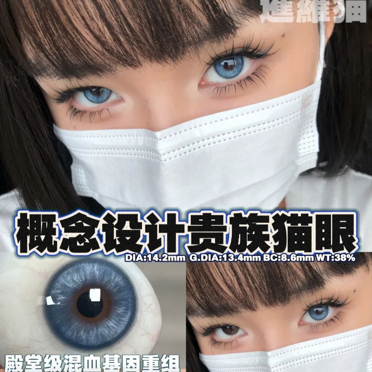 Deerbell | 韩产年抛 | 硅水凝胶 | 猫咪同款蓝瞳 | 暹罗猫 | 14.2mm-allencon