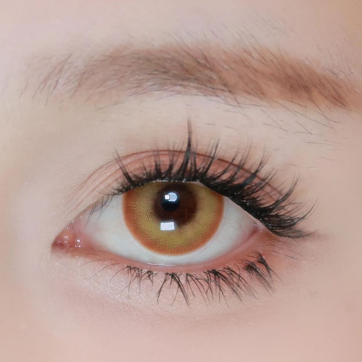 DOYA | 国产日抛 | 水凝胶 | 青花瓷系列 | 赤小豆 | 蓝莲花 | 紫海芋 | 黄芭蕉 | 14.5mm-allencon