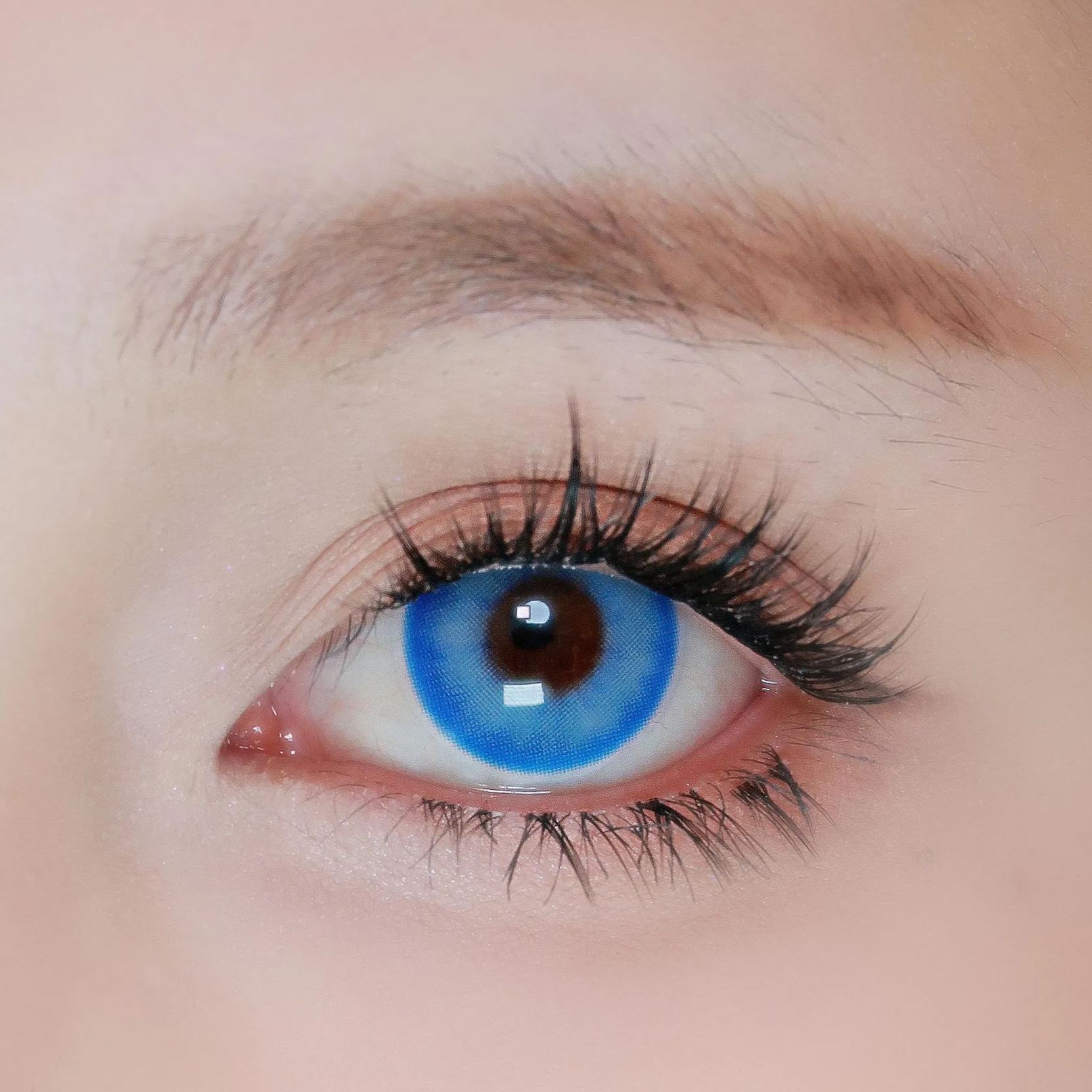 DOYA | 国产日抛 | 水凝胶 | 青花瓷系列 | 赤小豆 | 蓝莲花 | 紫海芋 | 黄芭蕉 | 14.5mm-allencon