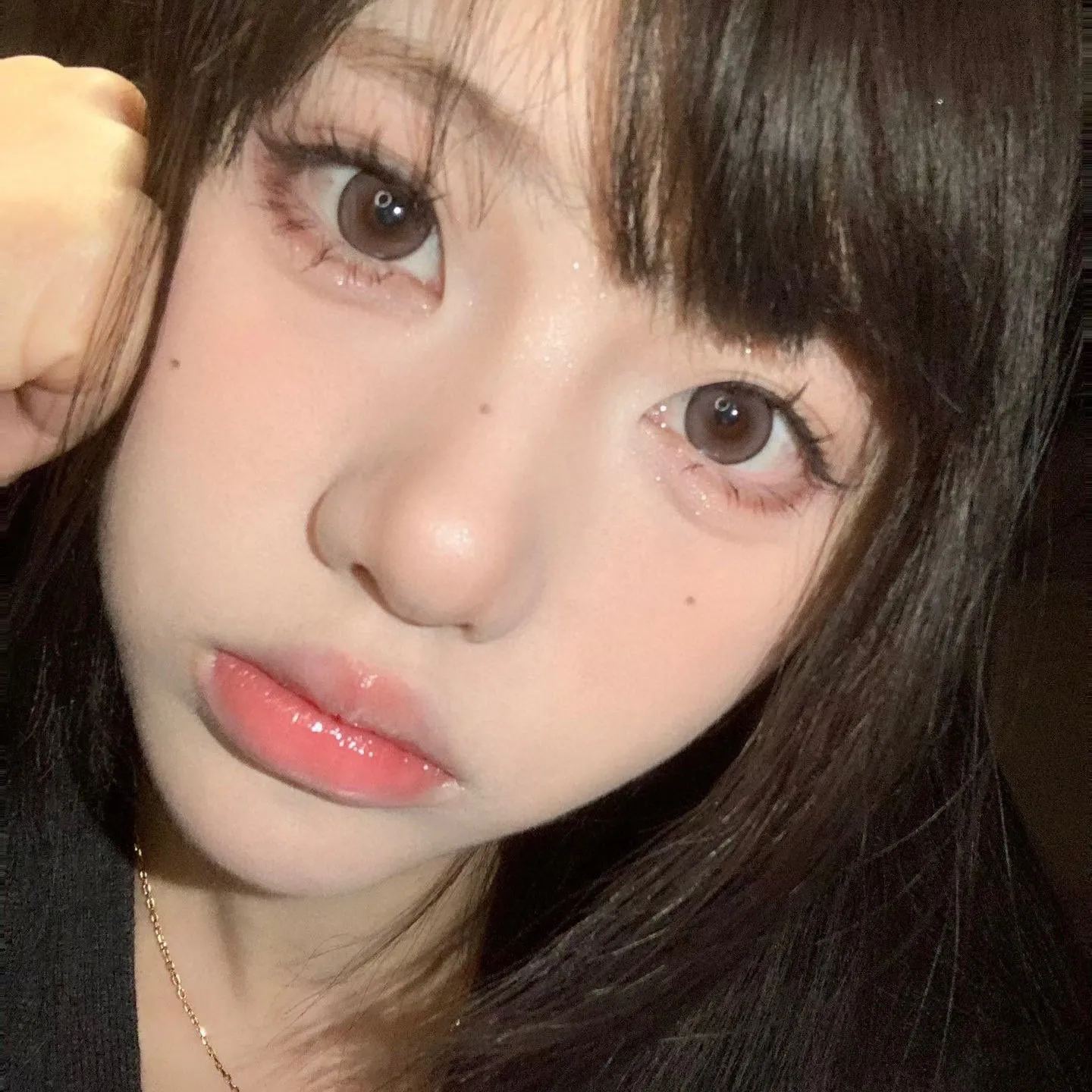 LuluAlice | 国产半年抛 | 水凝胶 | 无锁边梦中情瞳 | 乳粉棕 | 纯情狗狗 | 小鹿环 | 14.3mm -allencon