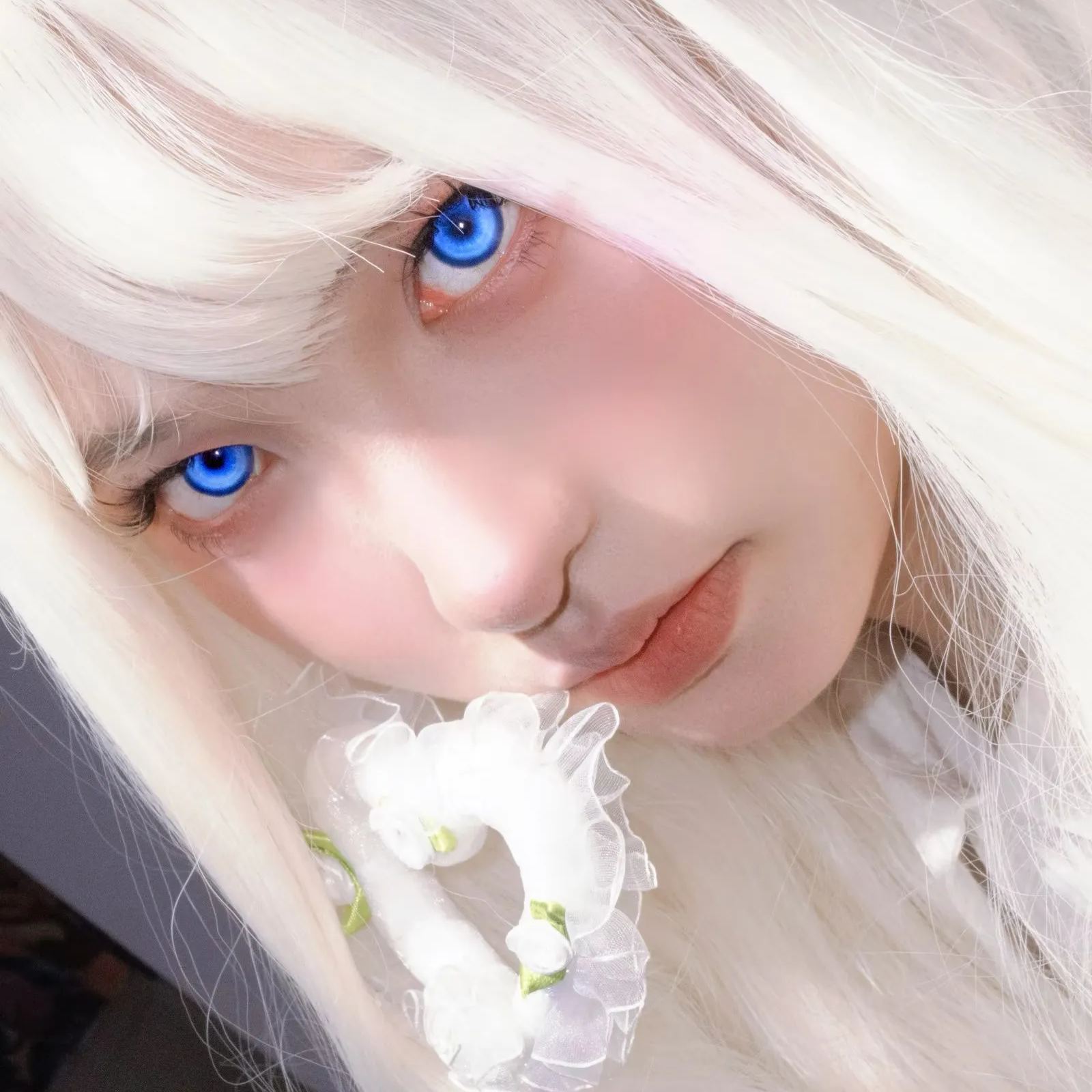 Recolook | 国产半年抛 | 普通 | 锦鲤系列 | 锦鲤之梦 | 锦鲤幻海 | 锦鲤下蛊 | 锦鲤尾蝶 | 锦鲤传说 | 锦鲤之红 | 锦鲤深蓝 | 锦鲤白银 | 14.5mm