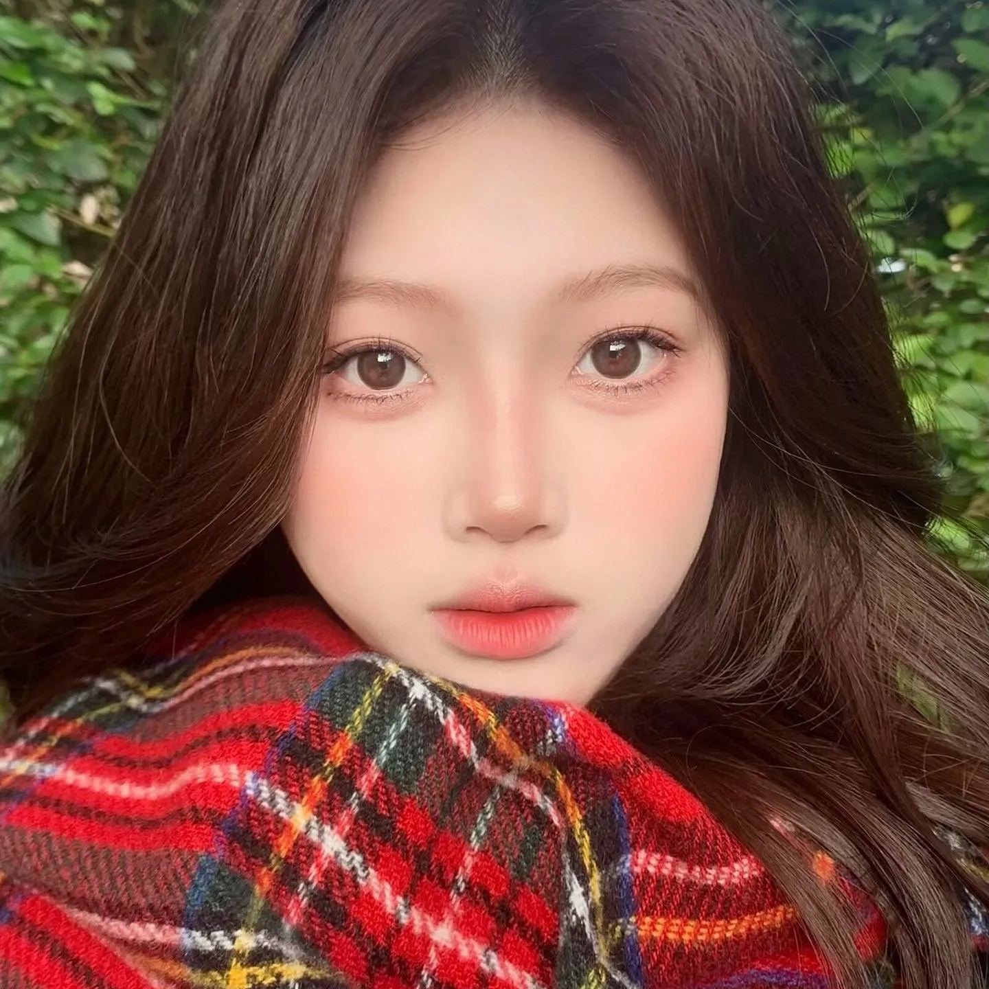 Sincecon | 国产半年抛 | 硅水凝胶 | 日常优雅棕色系 | 心藏月光 | 小咖妹 | 小鹿乱撞 | 14.0mm