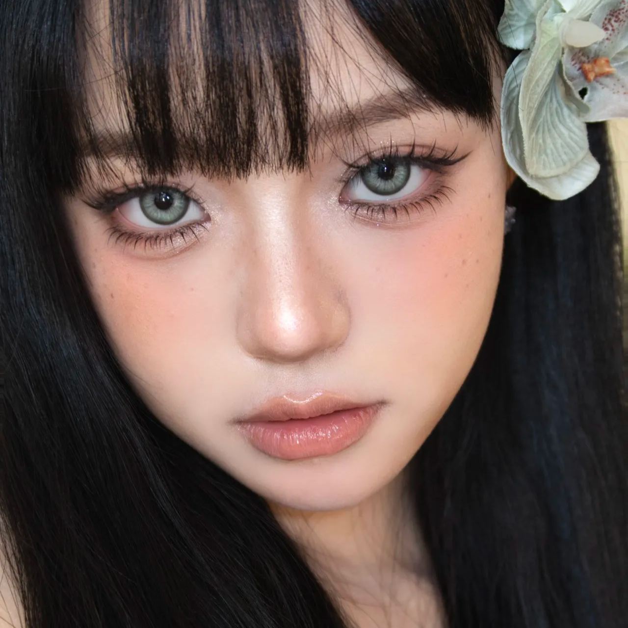 Sincecon | 国产月抛 | 硅水凝胶 | 𝐀𝐢机械美姬研究院 | 泰酷辣 | 诺艾尔 | 阿斯塔 | 14.5mm