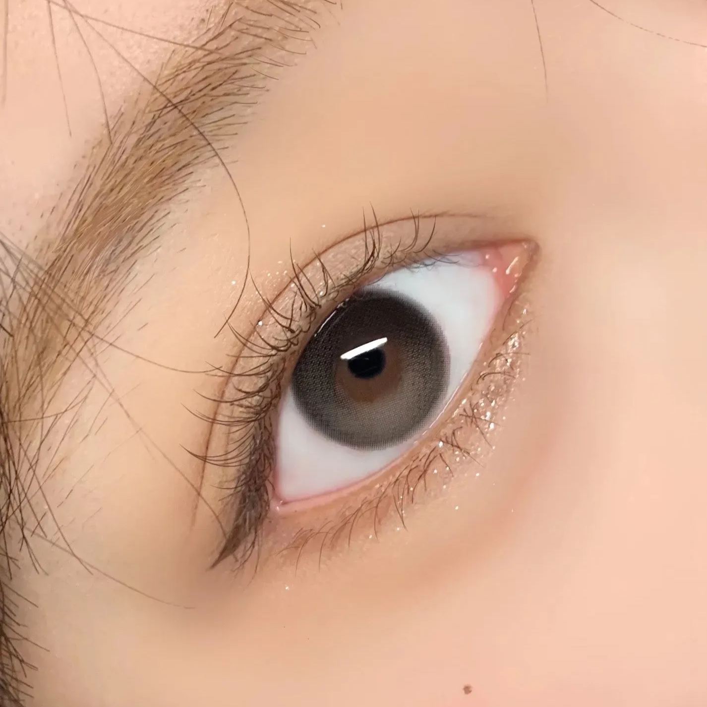 【1副请拍2】【英国现货】现货断码清仓丨Popocon年抛丨无极乌龙丨无售后介意慎入丨1片装