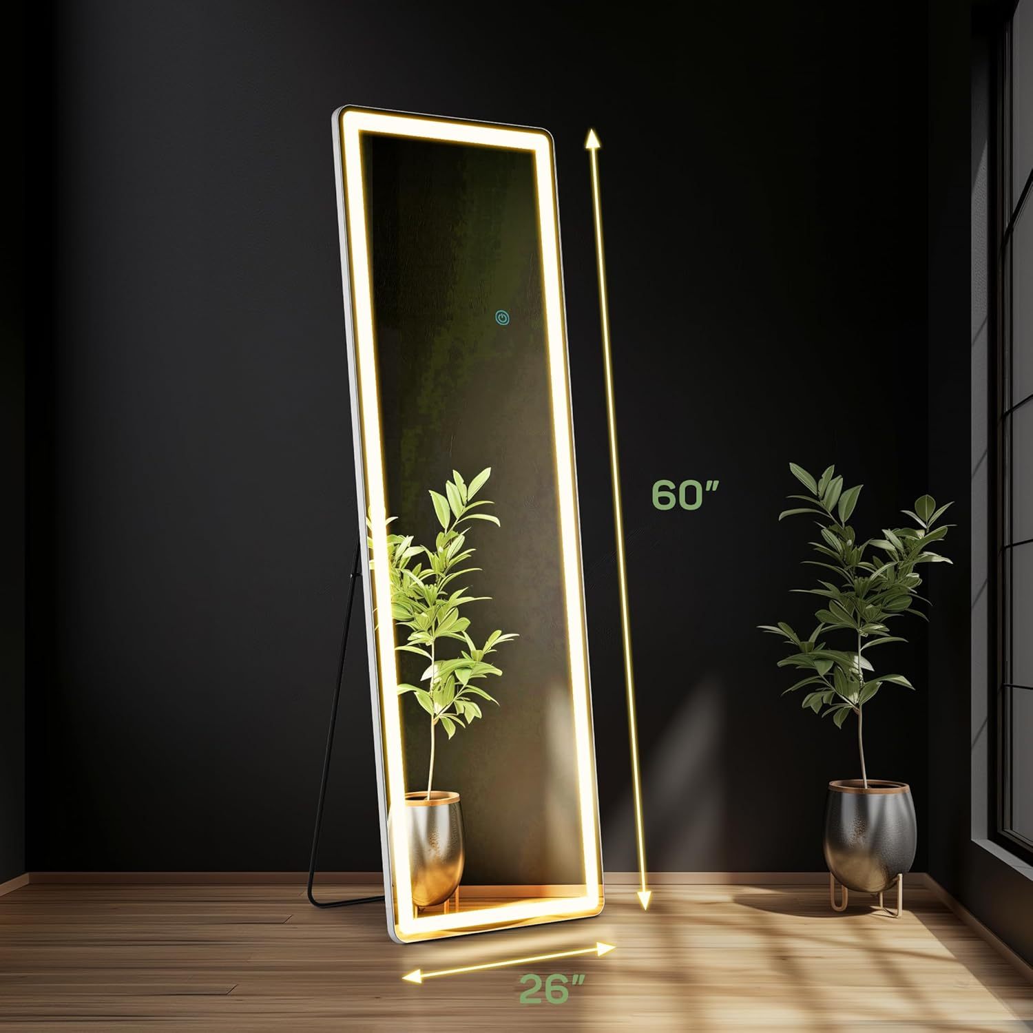  Mirror Full Length with LED Lights