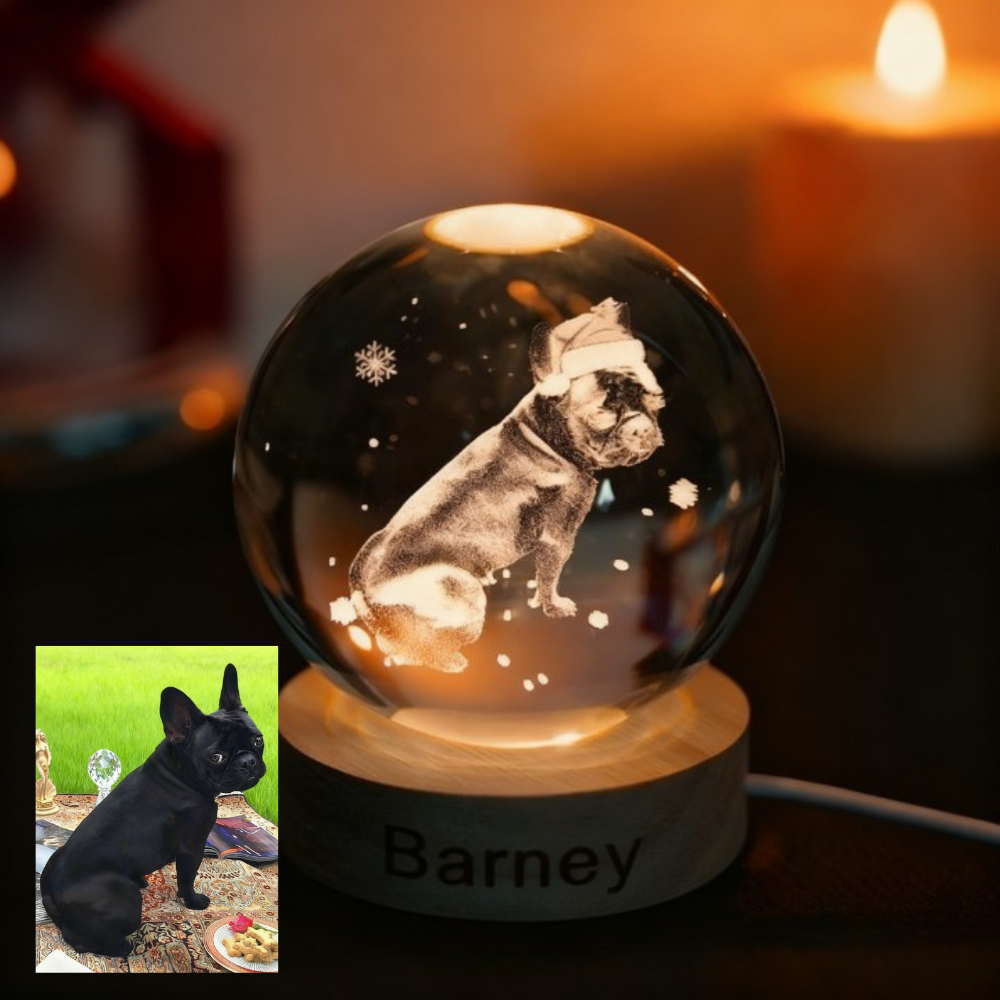 Custom Pet Photo Sketch Style Christmas Atmosphere Crystal Ball