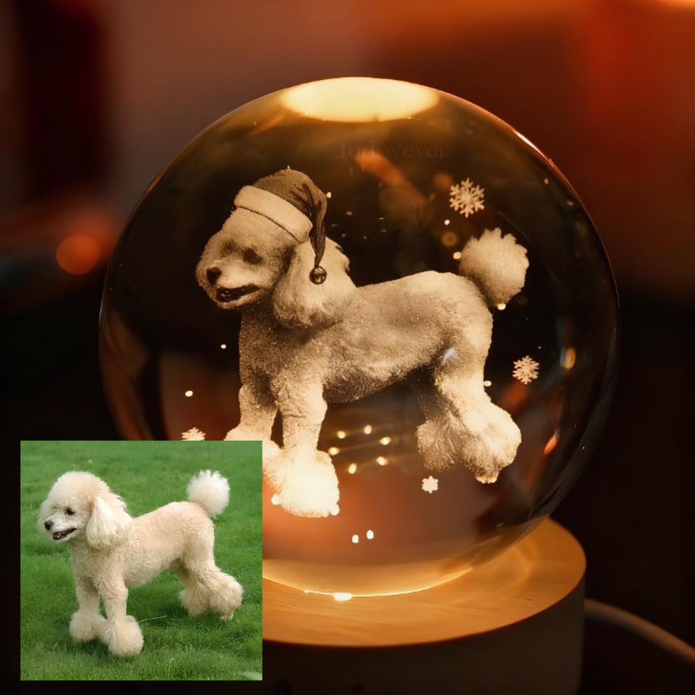 Custom Pet Photo Sketch Style Christmas Atmosphere Crystal Ball