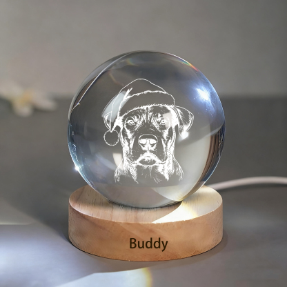 Custom Pet Photo Sketch Style Christmas Crystal Ball