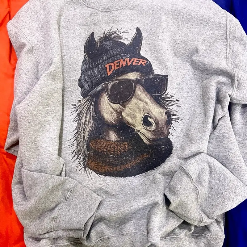 Custom Spirit Animal Football Sweatshirt – City Team Game Day Pullover