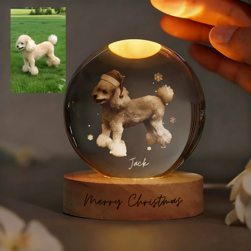 Custom Pet Photo Sketch Style Christmas Atmosphere Crystal Ball