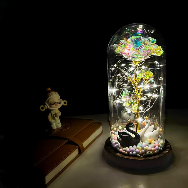 Enchanted Galaxy Forever Rose