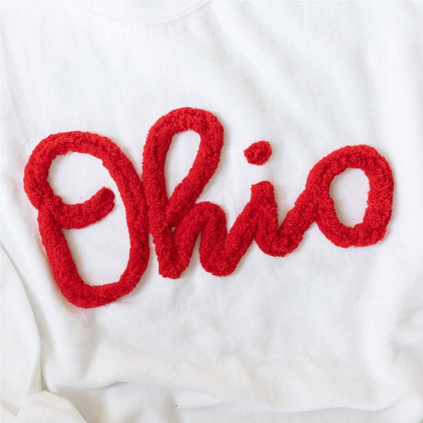 Ohio Pullover, Chenille Embroidered Sweatshirt, Team Sweatshirt, OH Pullover, School Mascot