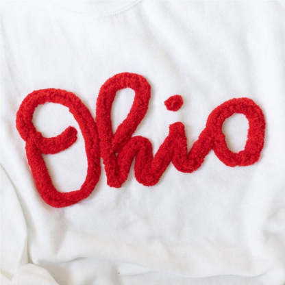 Ohio Pullover, Chenille Embroidered Sweatshirt, Team Sweatshirt, OH Pullover, School Mascot