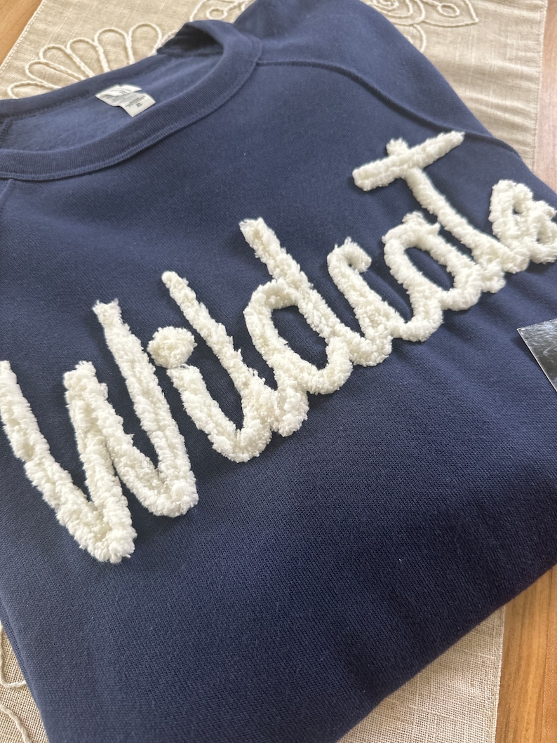 可能包括：一件海军蓝色运动衫，上面用白色毛绒字母写着&ldquo;Wildcats&rdquo;