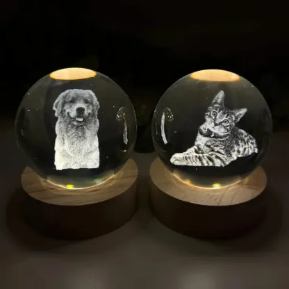 Custom Pet Photo Sketch Style Christmas Atmosphere Crystal Ball