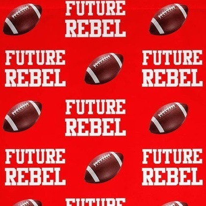 🏈🏀⚽️Personalized Team Spirit Bleacher Blanket - The Ultimate Sports Mom Essential