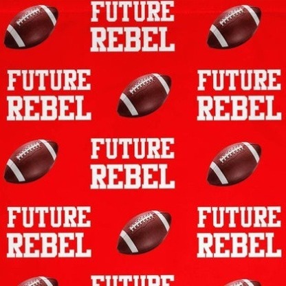 🏈🏀⚽️Personalized Team Spirit Bleacher Blanket - The Ultimate Sports Mom Essential