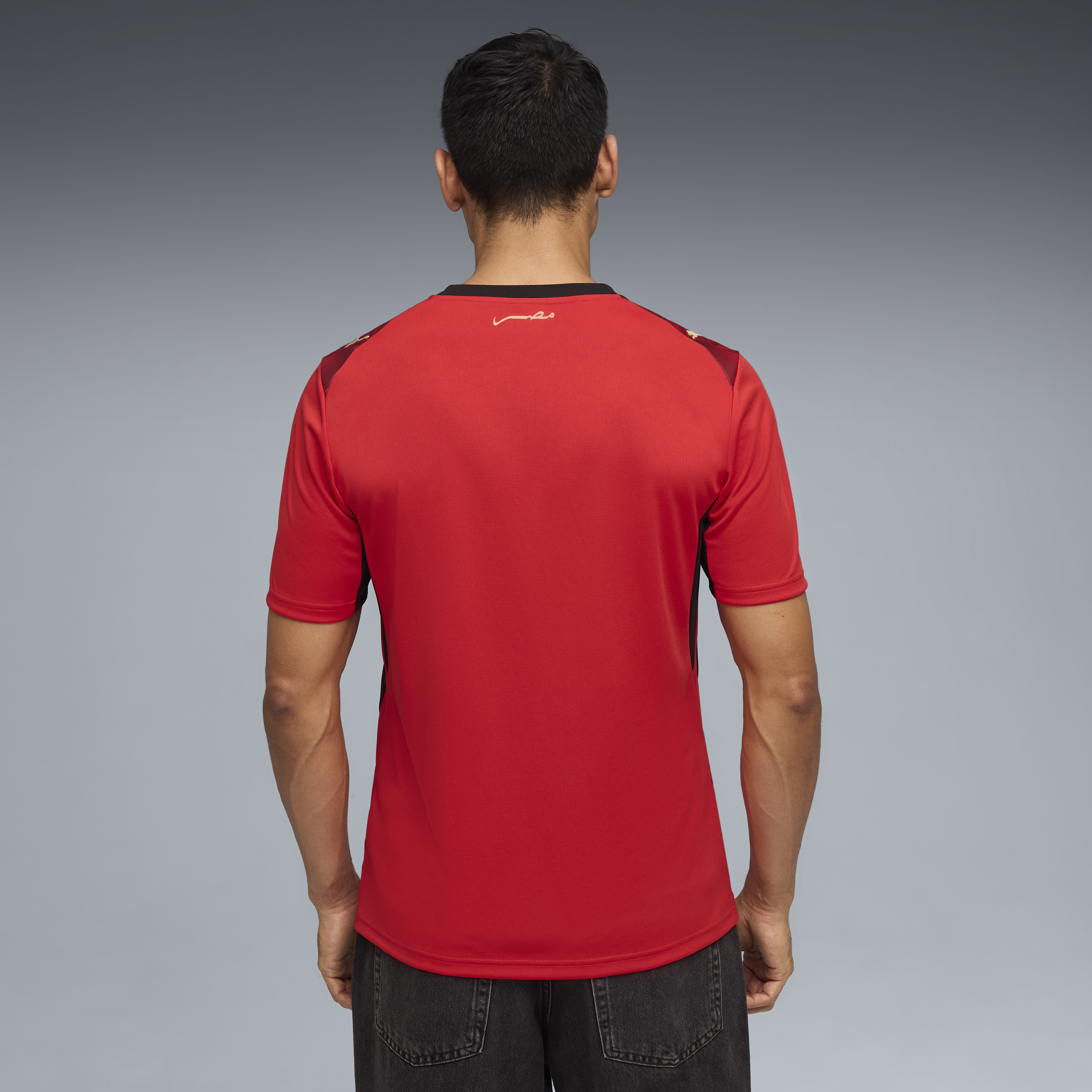 Egypt Adult World Cup 2026 Home Replica Jersey