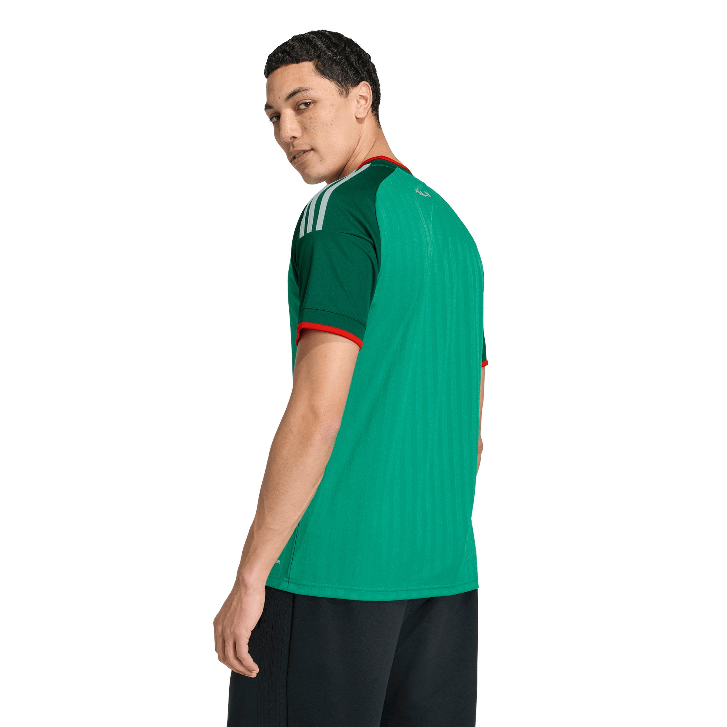 Algeria Adult World Cup 2026 Away Jersey