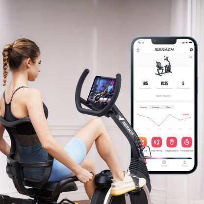 Recumbent Exercise Bike