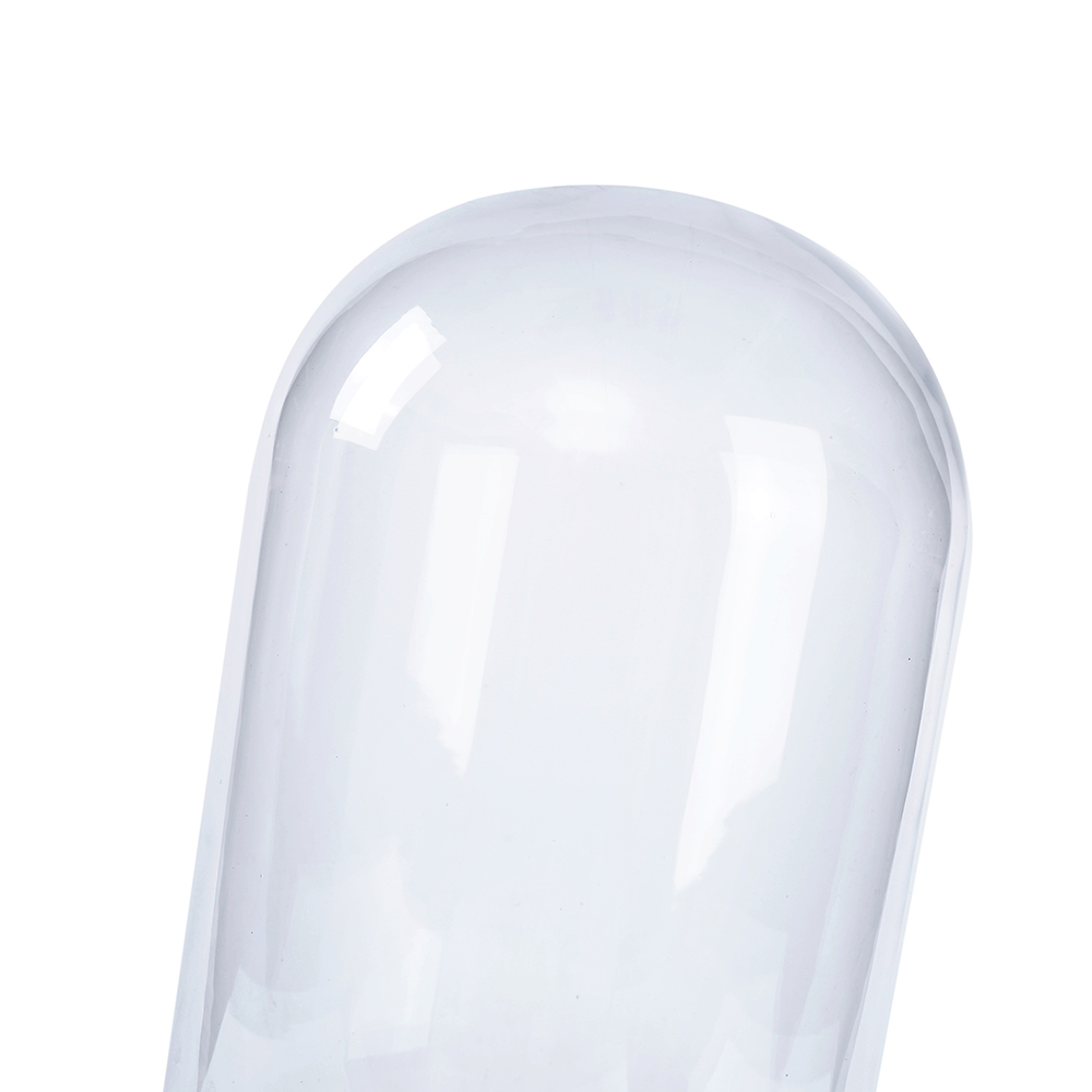 89028	 D8.5"H22" - CLEAR GLASS DOME CLOCHE WITH WOODEN BASE