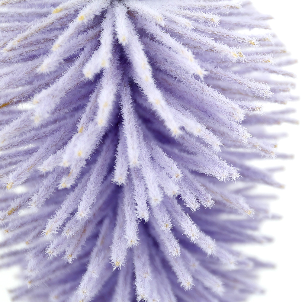 SE12033A6 L5''W5''H19.5''EASTER CARROT