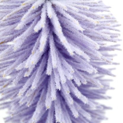 SE12033A6 L5''W5''H19.5''EASTER CARROT