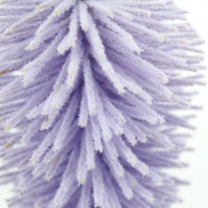 SE12035A6 L2''W2''H12''EASTER CARROT