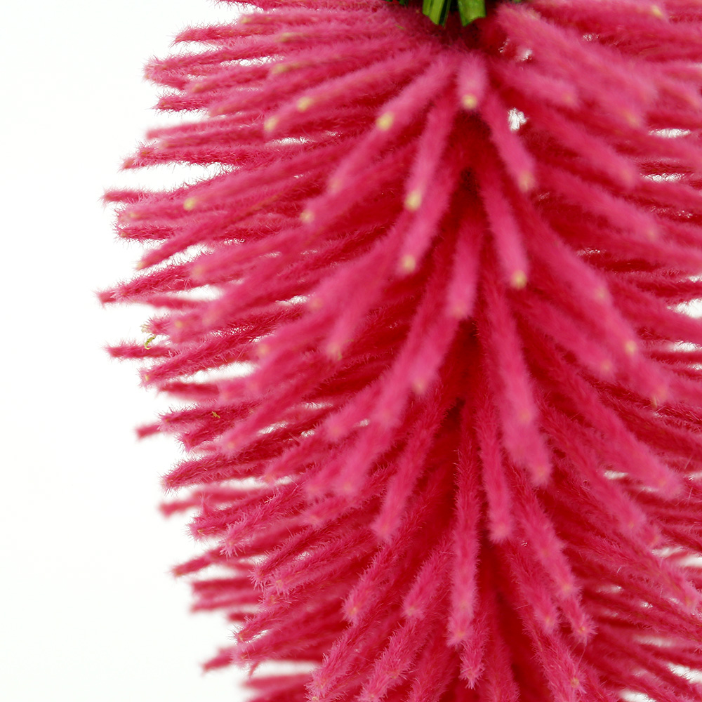 SE12035A6 L2''W2''H12''EASTER CARROT