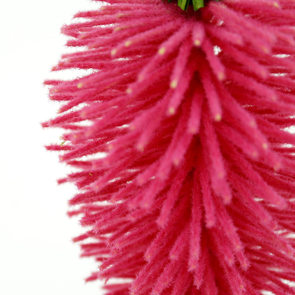 SE12035A6 L2''W2''H12''EASTER CARROT