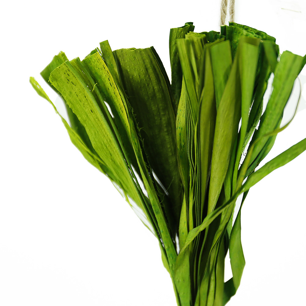 SE12033A6 L5''W5''H19.5''EASTER CARROT