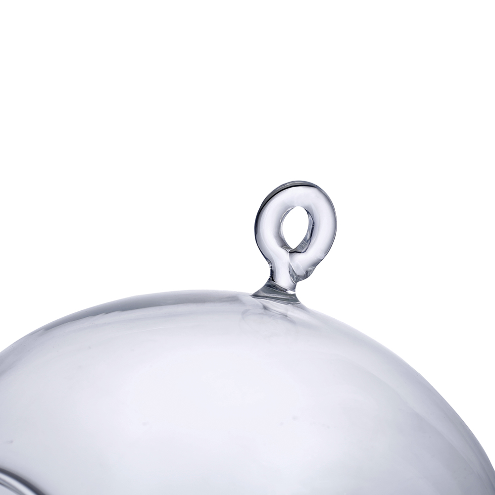 64392	 D4.5" - HANGING GLASS TERRARIUM GLOBE