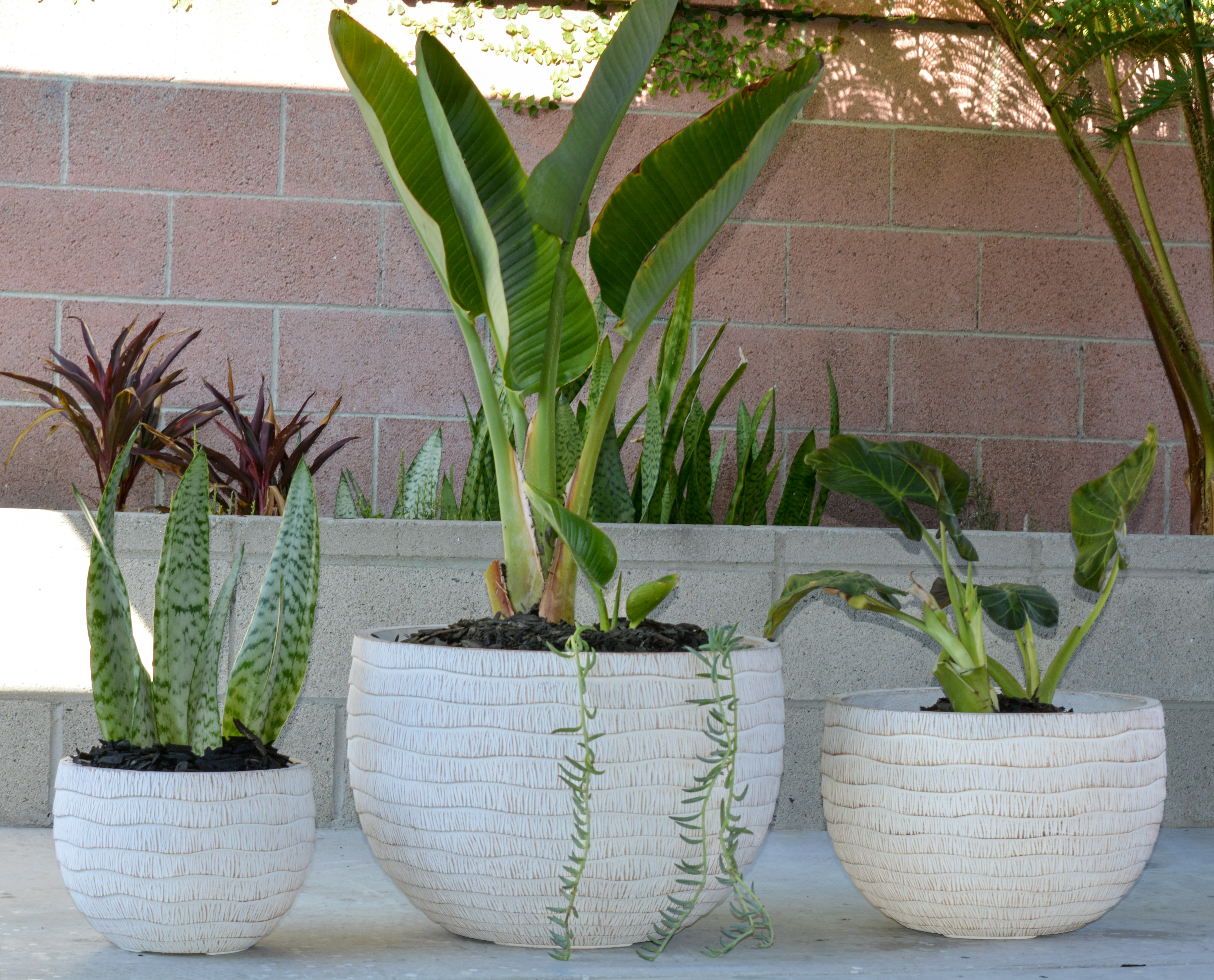 Planters