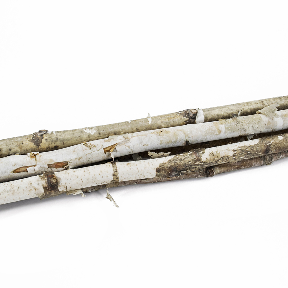 31348	 D1.6"H48" - DECORATIVE BIRCH POLES