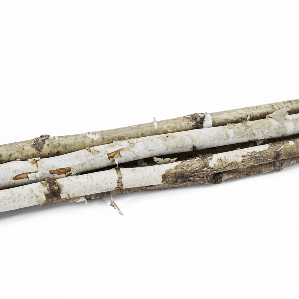 31348	 D1.6"H48" - DECORATIVE BIRCH POLES