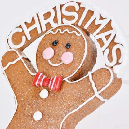 RC02010A2	 L7''W3''W11'' XMAS ACCESSORY