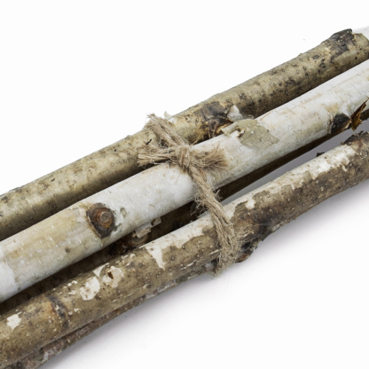 31348	 D1.6"H48" - DECORATIVE BIRCH POLES