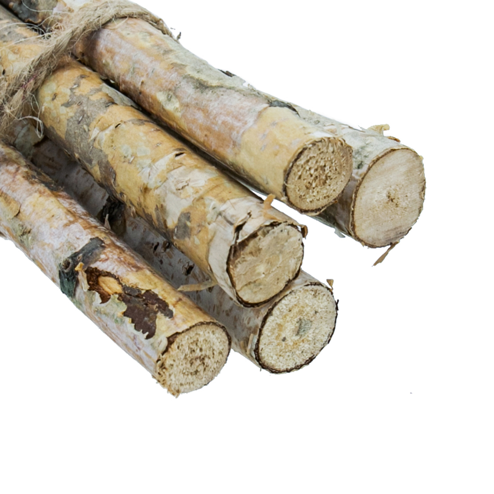 31342	 D1.4"H31.5" - DECORATIVE BIRCH POLES