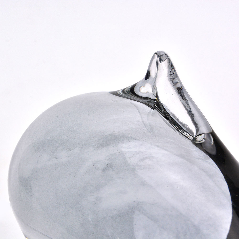 GA53050BK	 D4''H8''GLASS ACCESSORY
