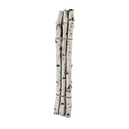 D1.4"H31.5" - DECORATIVE BIRCH POLES